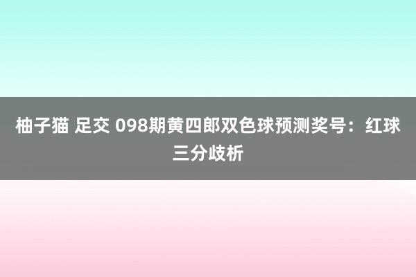 柚子猫 足交 098期黄四郎双色球预测奖号：红球三分歧析