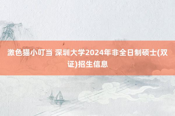 激色猫小叮当 深圳大学2024年非全日制硕士(双证)招生信息