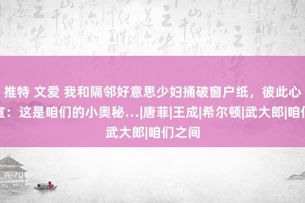 推特 文爱 我和隔邻好意思少妇捅破窗户纸，彼此心照不宣：这是咱们的小奥秘…|唐菲|王成|希尔顿|武大郎|咱们之间